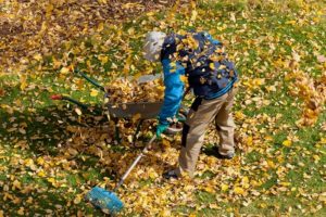 Lawn Care Myrtle Beach