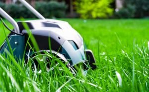 lawn care Myrtle Beach