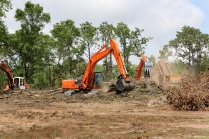 land clearing