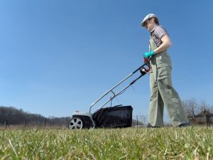 lawn care conway sc