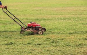 lawn care