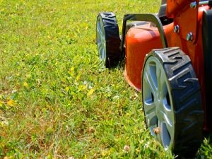 lawn care