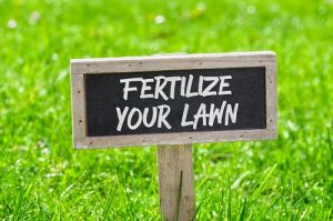 fertilizing