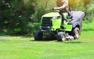 lawn care