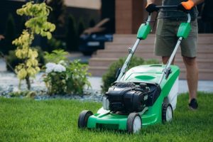 lawn care in Conway SC