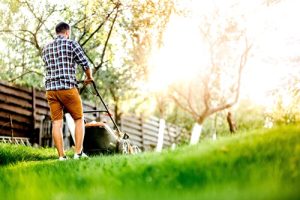 lawn care in Conway SC