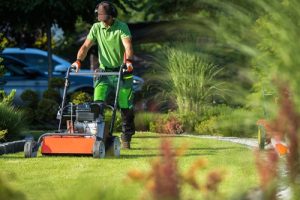 Lawn care in Conway SC