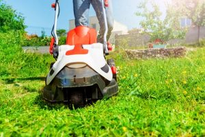 Lawn maintenance in Conway SC