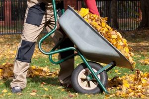 lawn care in Conway SC