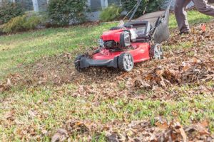 lawn care in Conway SC