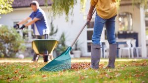 Fall lawn care in Conway SC