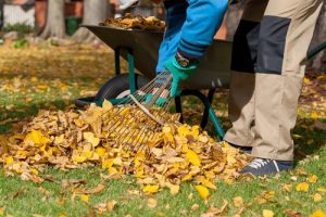 Lawn care in Conway SC