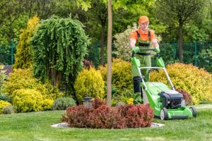 lawn care in Conway SC