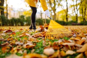 lawn care in Conway SC