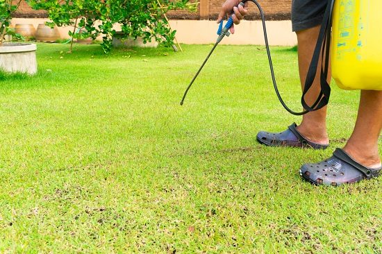 How To Apply Preemergent Herbicides | Conners Lawn Care